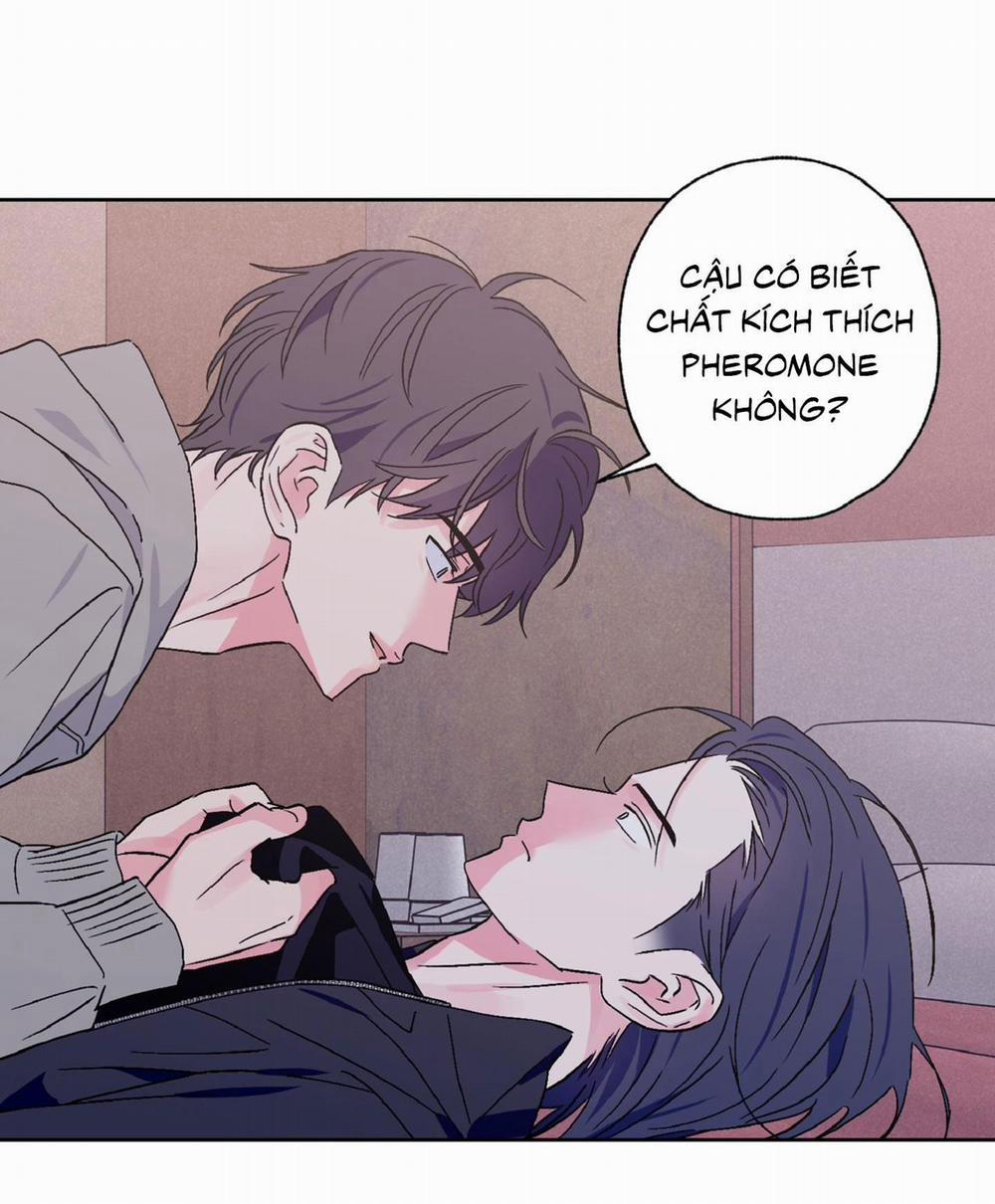 Vụ Bê Bối Của Beta 40 trang 6