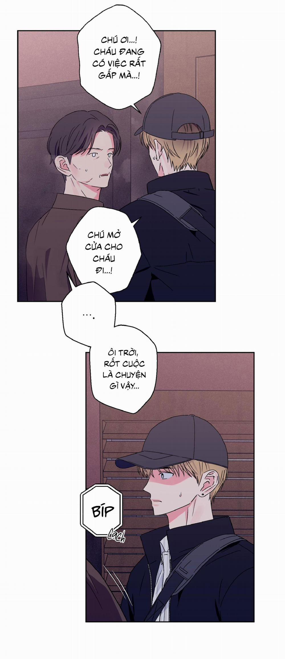 Vụ Bê Bối Của Beta 41 trang 6