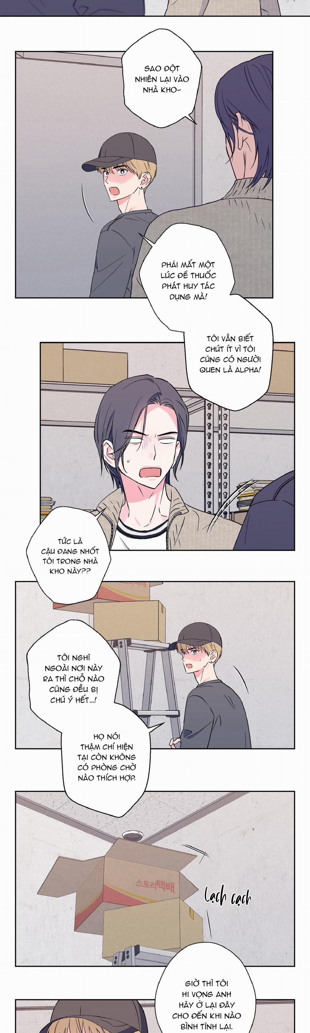 Vụ Bê Bối Của Beta 8 trang 12