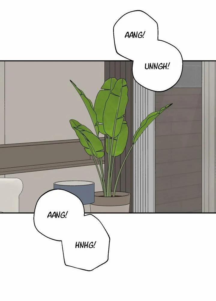 Vụ Đính Hôn Này Là Một Trò Lừa Đảo! 5 trang 54