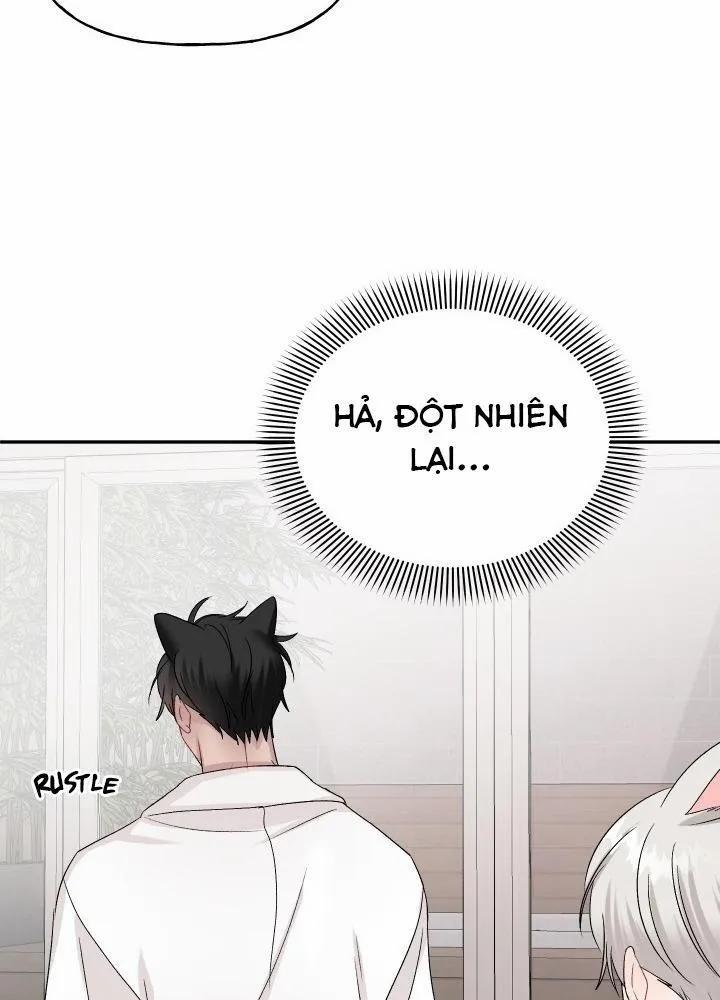 Vụ Đính Hôn Này Là Một Trò Lừa Đảo! 5 trang 75