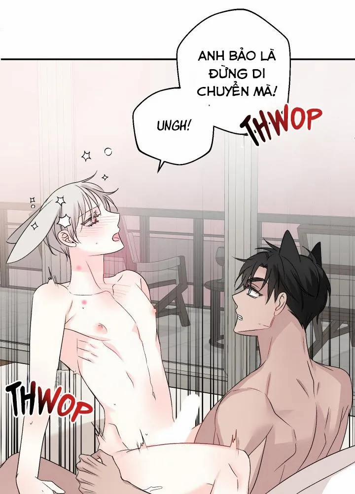 Vụ Đính Hôn Này Là Một Trò Lừa Đảo! 6 trang 67