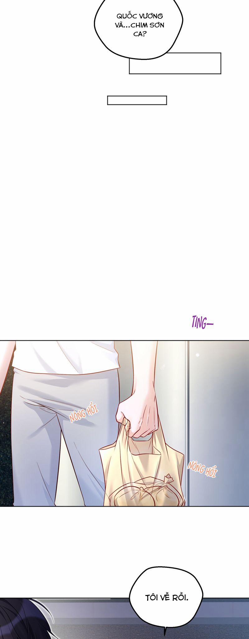 Vũ Khúc Đoàn Sơ Hạ 23 trang 19