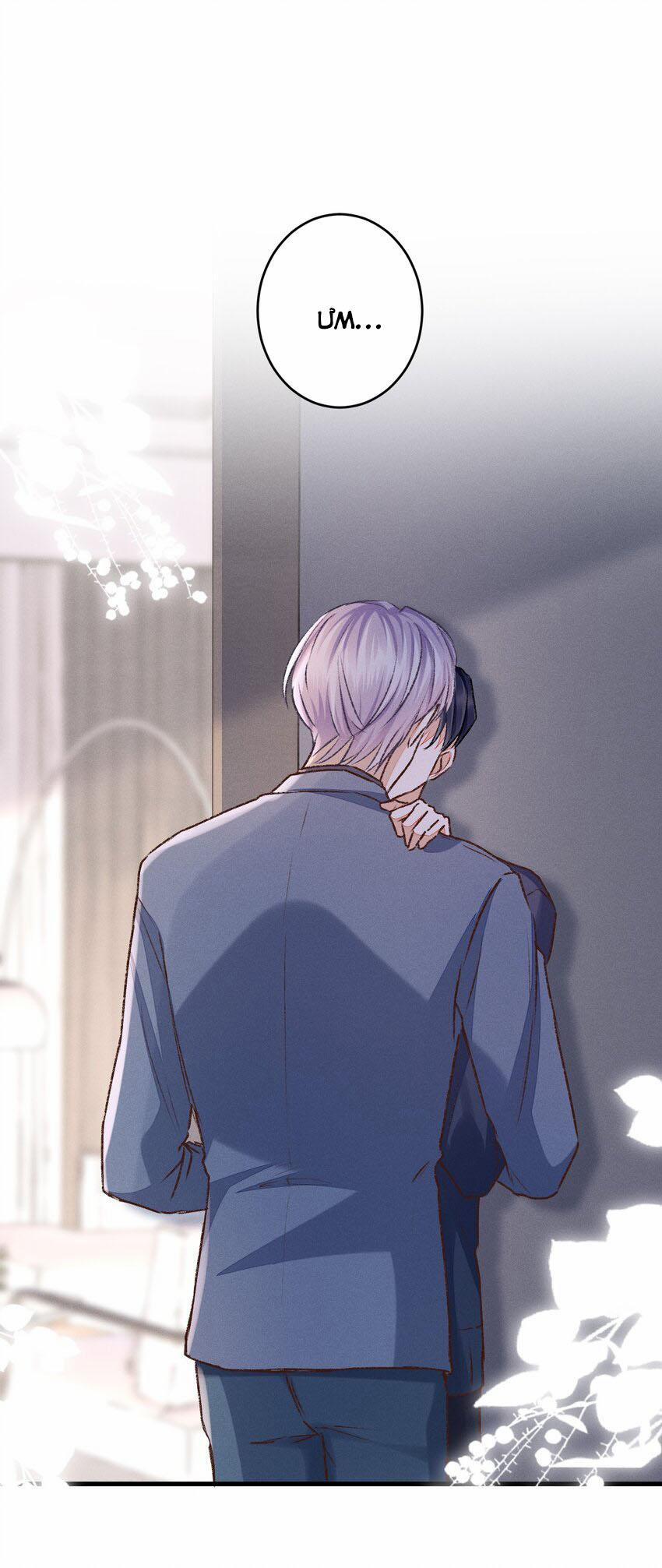 Vua hình tượng 13 trang 0