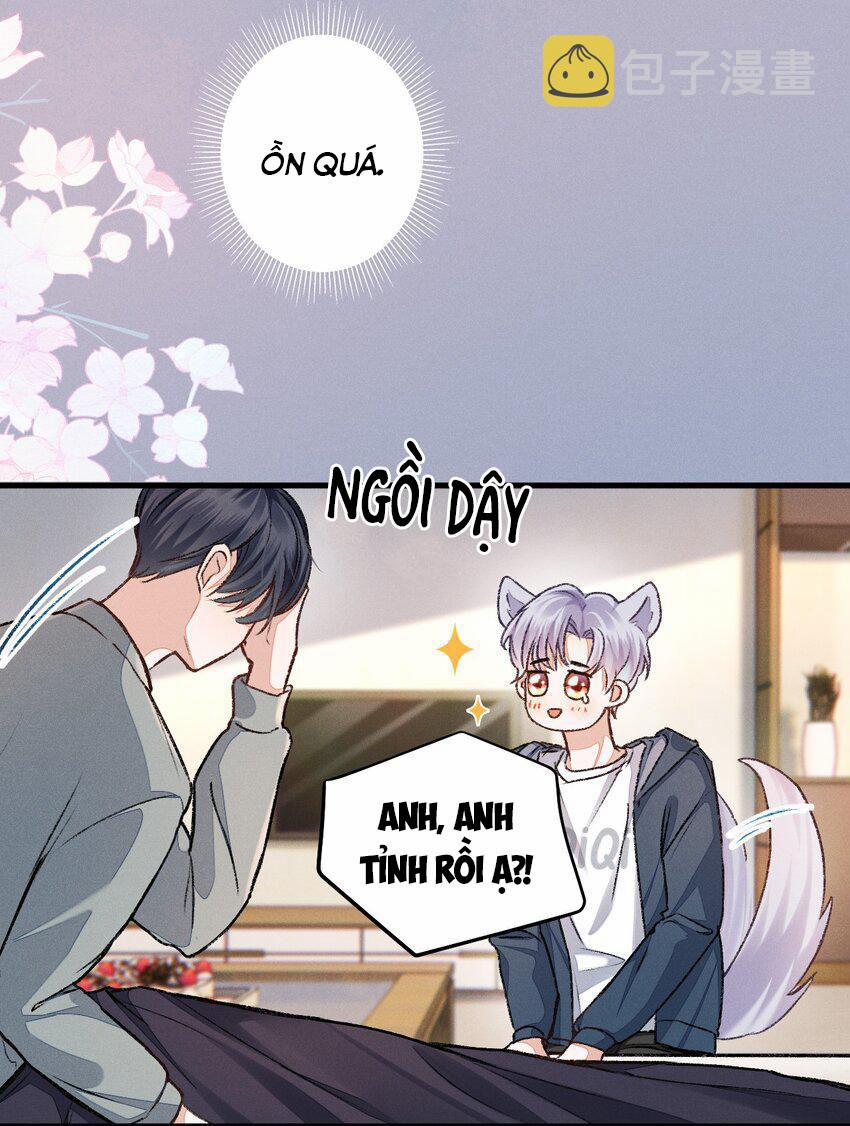 Vua hình tượng 5 trang 17