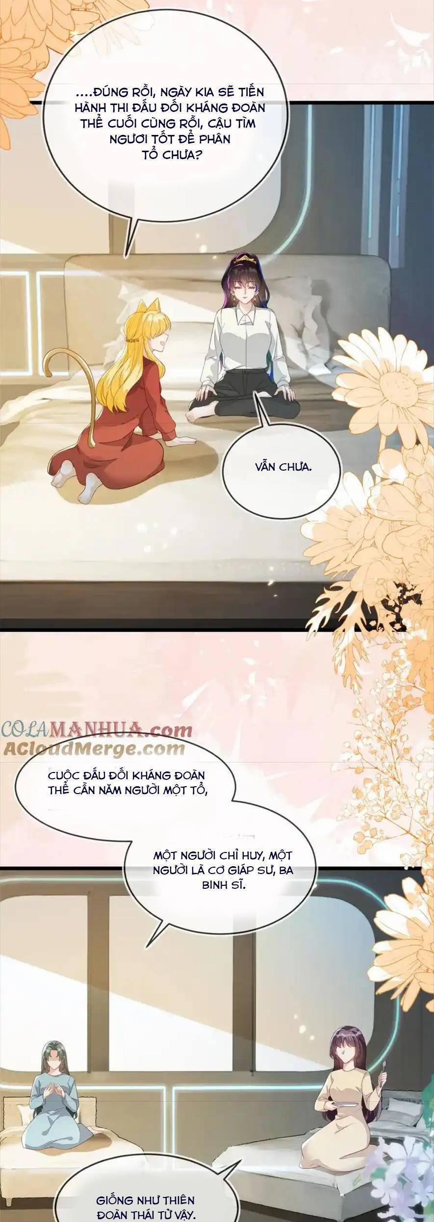 Vừa Mới Huỷ Hôn Đã Bị Dã Hồ Ly Lừa Kết Hôn 23 trang 6