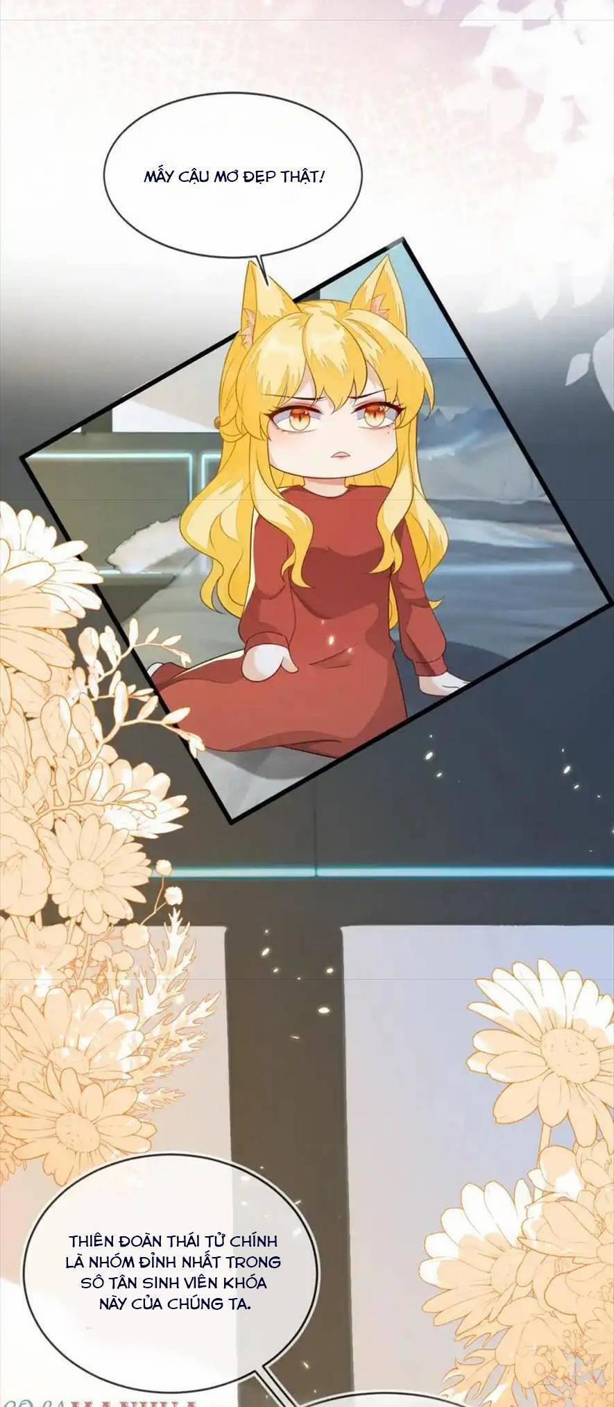 Vừa Mới Huỷ Hôn Đã Bị Dã Hồ Ly Lừa Kết Hôn 23 trang 8