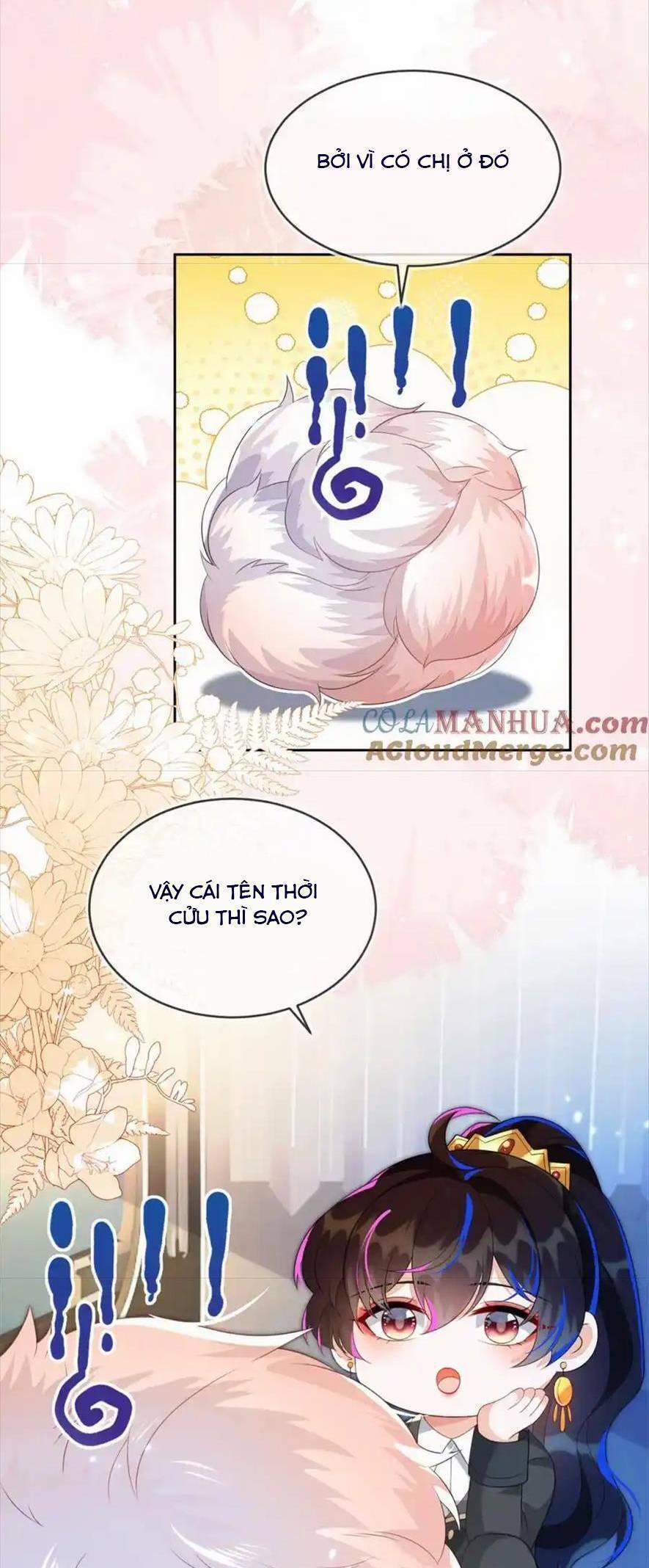 Vừa Mới Huỷ Hôn Đã Bị Dã Hồ Ly Lừa Kết Hôn 25 trang 24