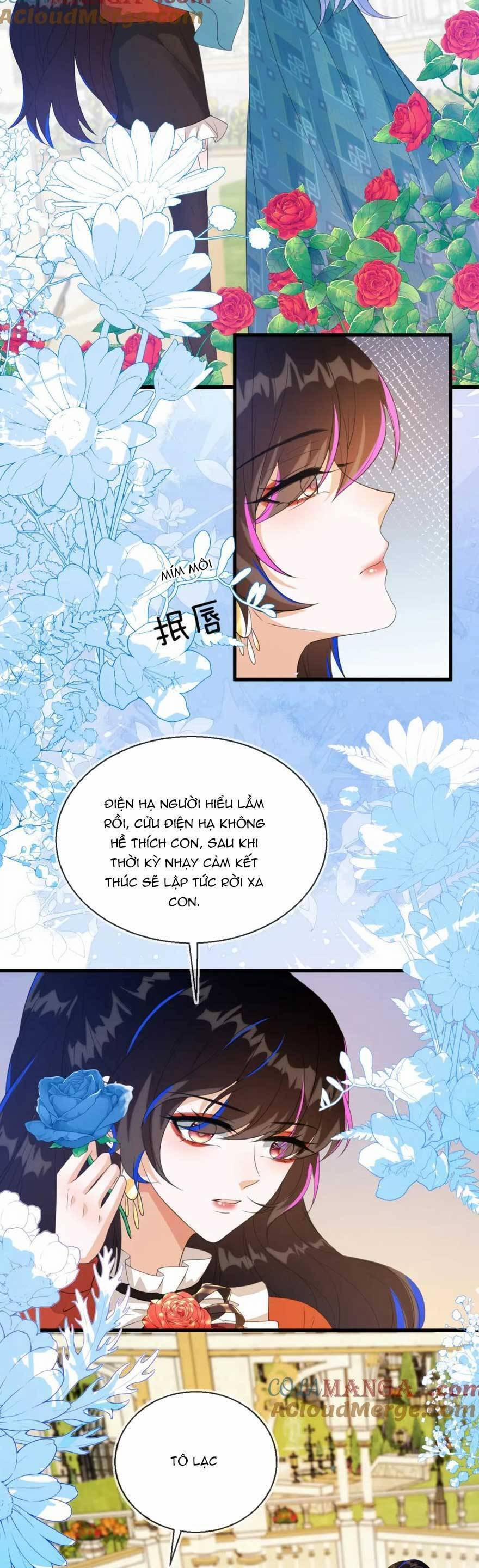 Vừa Mới Huỷ Hôn Đã Bị Dã Hồ Ly Lừa Kết Hôn 29 trang 14