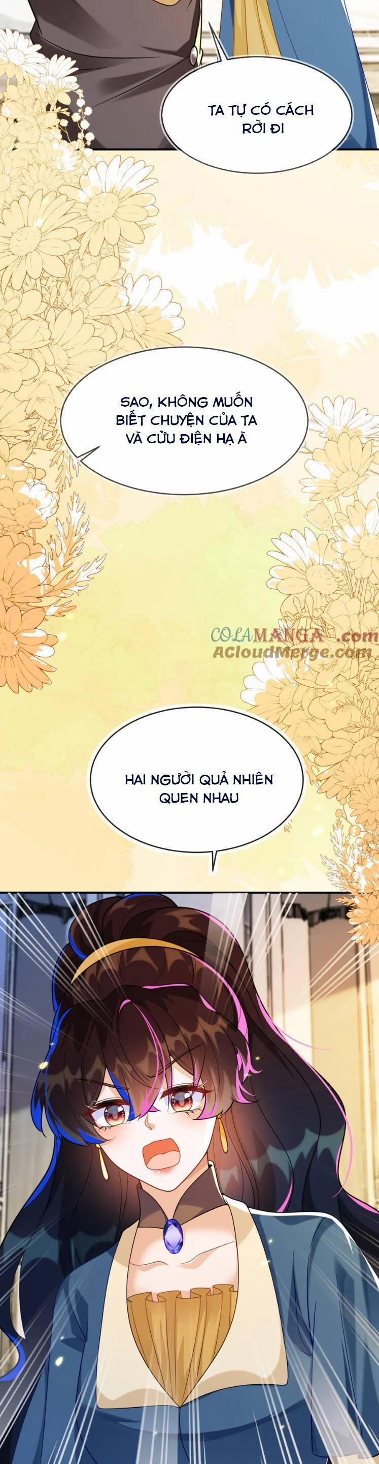 Vừa Mới Huỷ Hôn Đã Bị Dã Hồ Ly Lừa Kết Hôn 43 trang 12