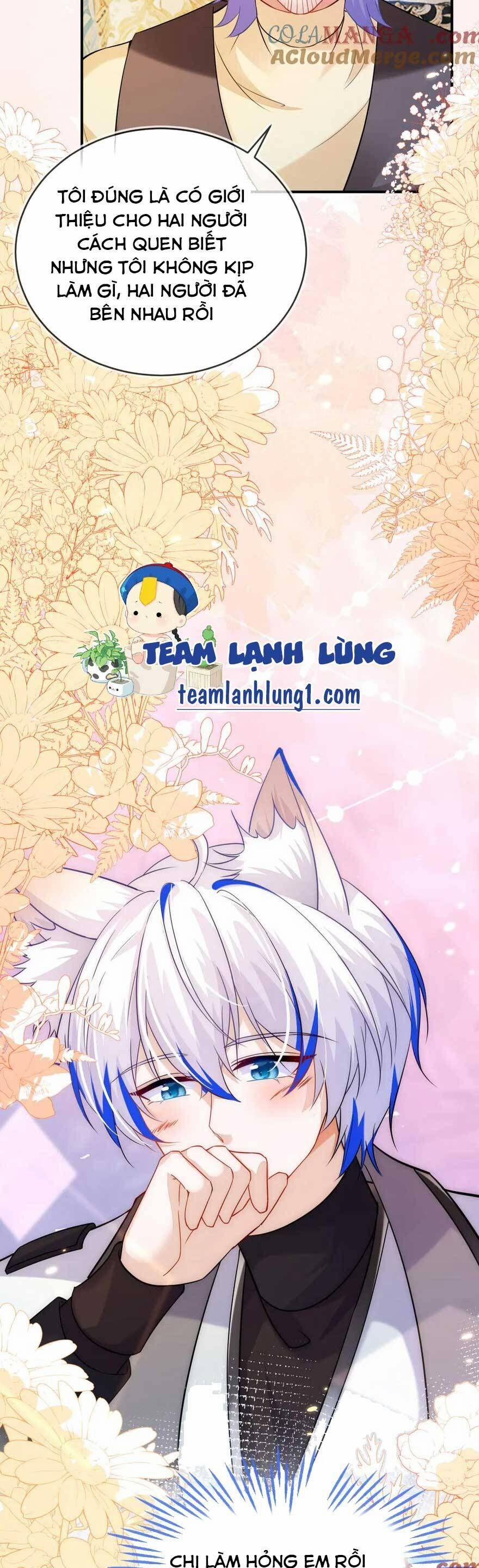 Vừa Mới Huỷ Hôn Đã Bị Dã Hồ Ly Lừa Kết Hôn 44 trang 14