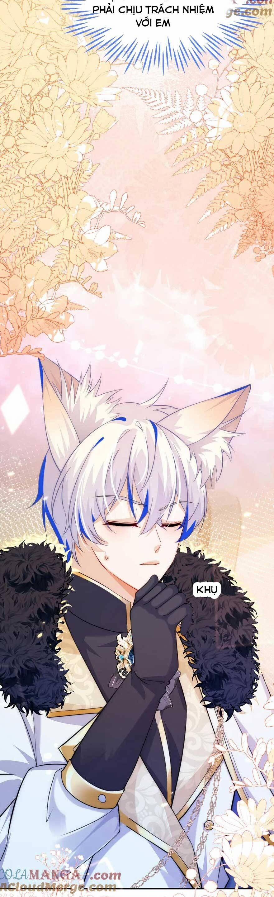 Vừa Mới Huỷ Hôn Đã Bị Dã Hồ Ly Lừa Kết Hôn 44 trang 15