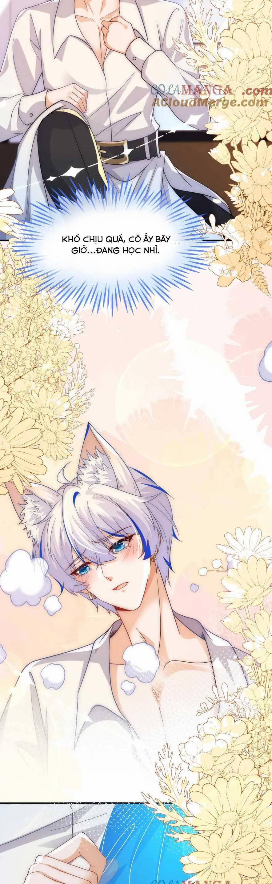 Vừa Mới Huỷ Hôn Đã Bị Dã Hồ Ly Lừa Kết Hôn 49 trang 1