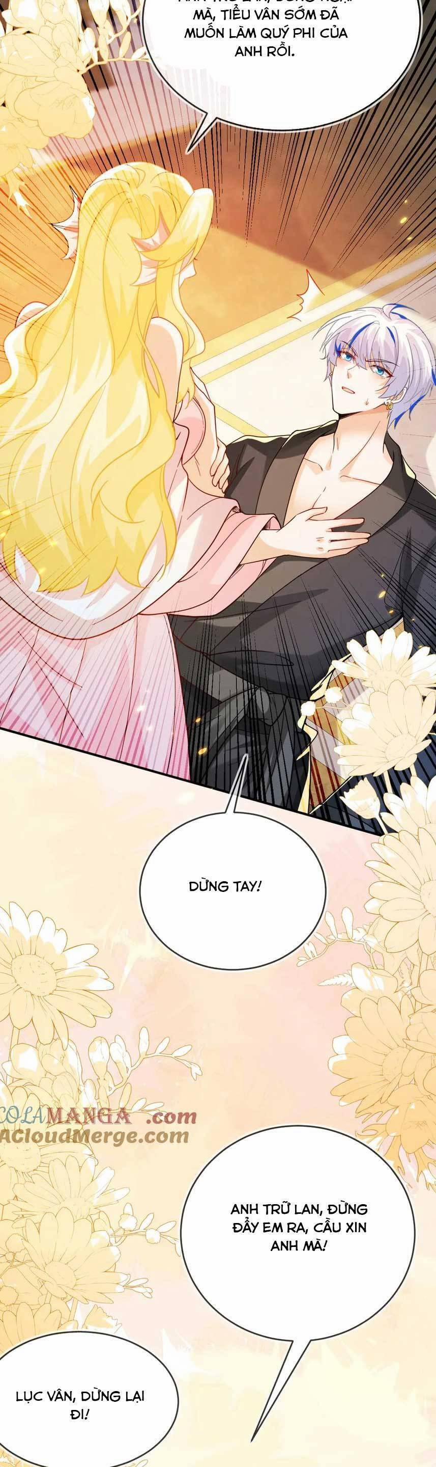 Vừa Mới Huỷ Hôn Đã Bị Dã Hồ Ly Lừa Kết Hôn 49 trang 16