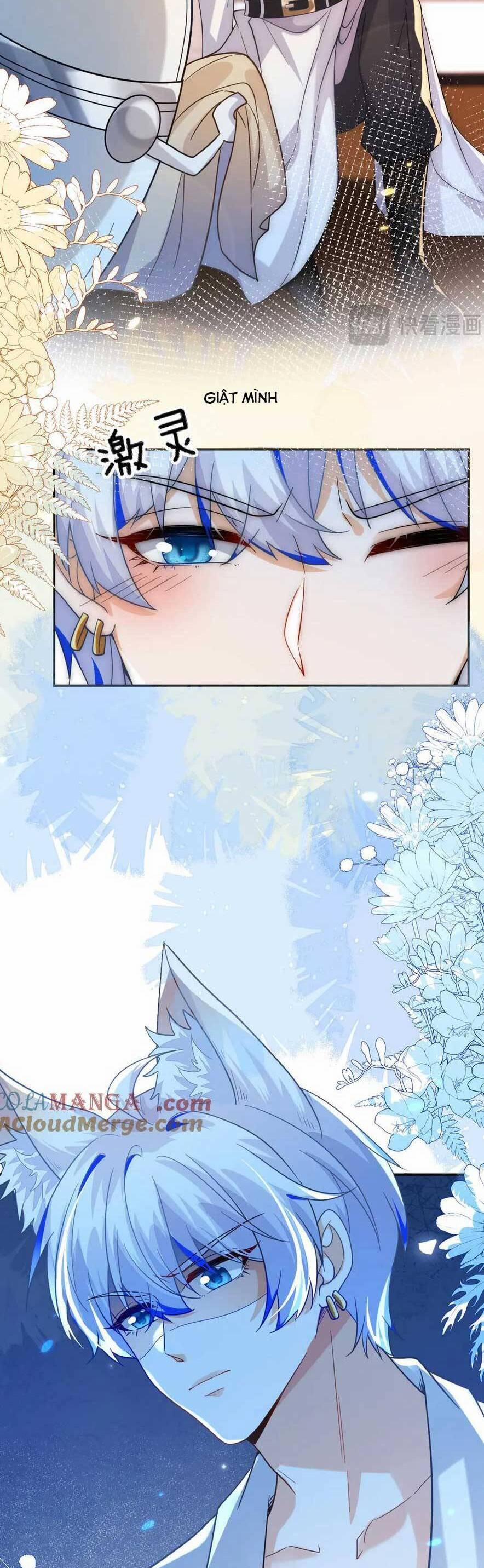 Vừa Mới Huỷ Hôn Đã Bị Dã Hồ Ly Lừa Kết Hôn 49 trang 4