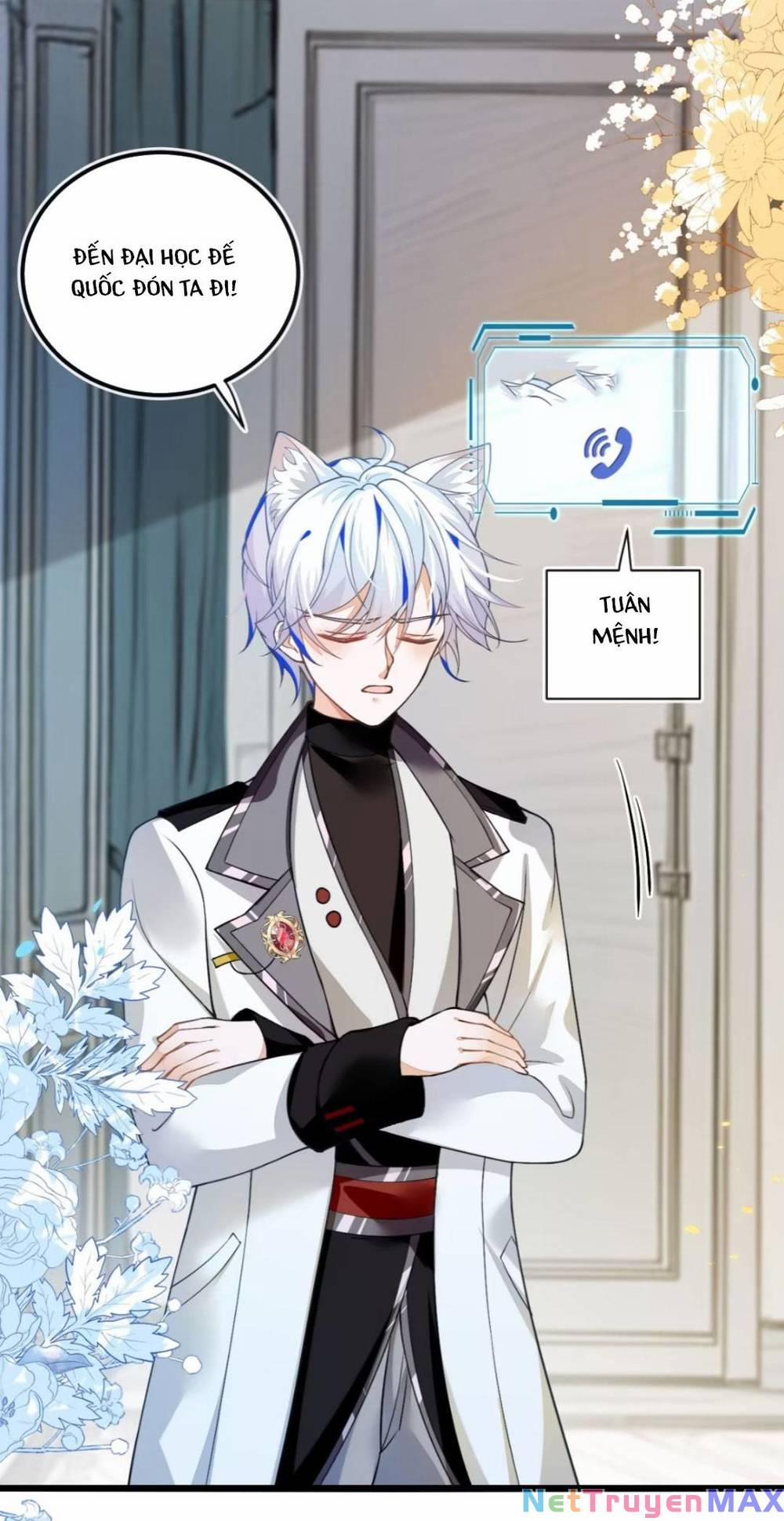 Vừa Mới Huỷ Hôn Đã Bị Dã Hồ Ly Lừa Kết Hôn 5 trang 5