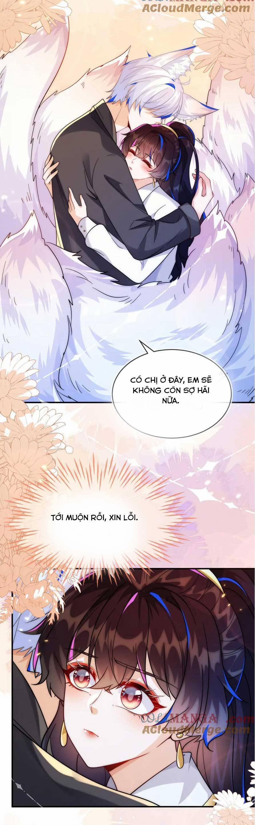 Vừa Mới Huỷ Hôn Đã Bị Dã Hồ Ly Lừa Kết Hôn 50 trang 25