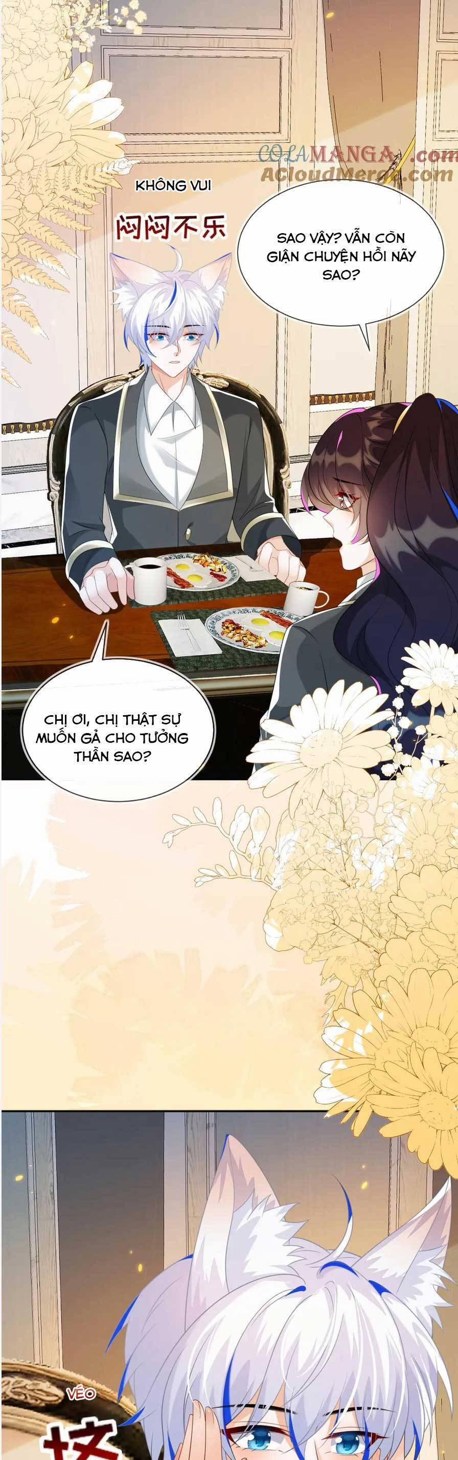 Vừa Mới Huỷ Hôn Đã Bị Dã Hồ Ly Lừa Kết Hôn 51 trang 9