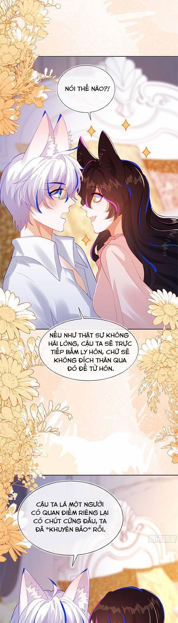 Vừa Mới Huỷ Hôn Đã Bị Dã Hồ Ly Lừa Kết Hôn 55 trang 11