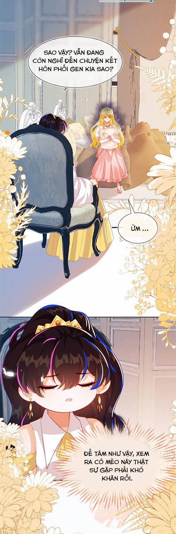 Vừa Mới Huỷ Hôn Đã Bị Dã Hồ Ly Lừa Kết Hôn 55 trang 14