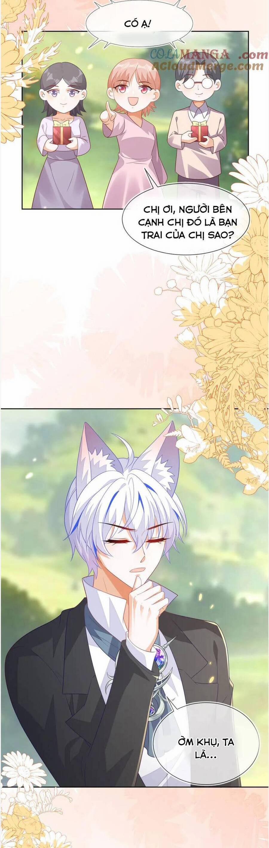 Vừa Mới Huỷ Hôn Đã Bị Dã Hồ Ly Lừa Kết Hôn 56 trang 12