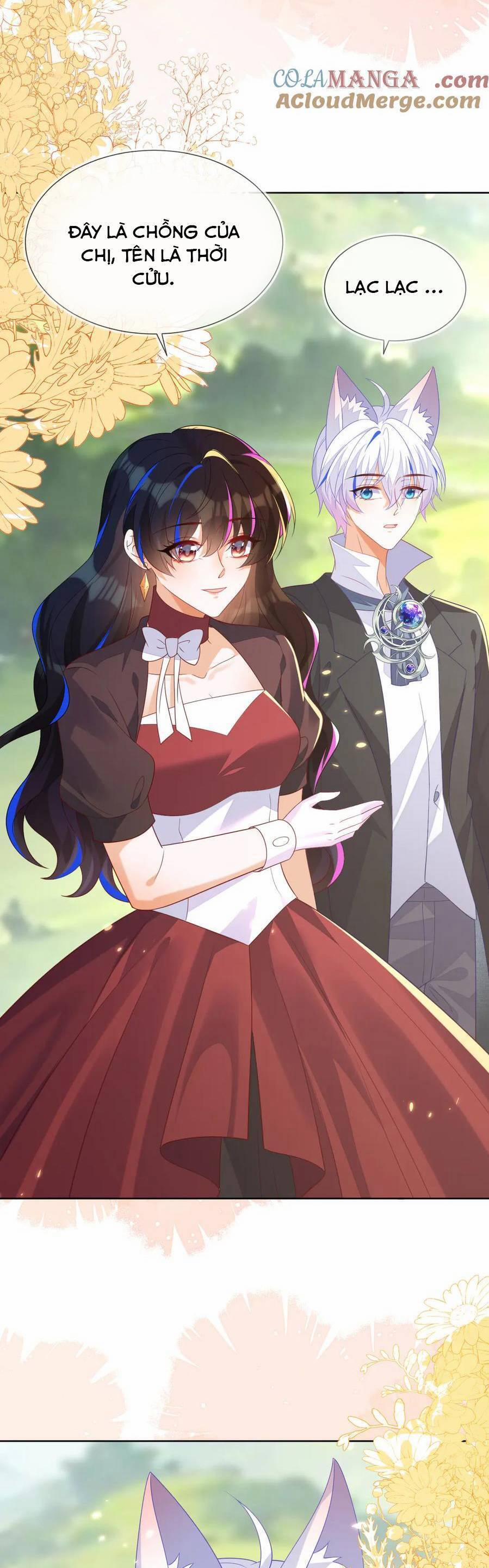 Vừa Mới Huỷ Hôn Đã Bị Dã Hồ Ly Lừa Kết Hôn 56 trang 13