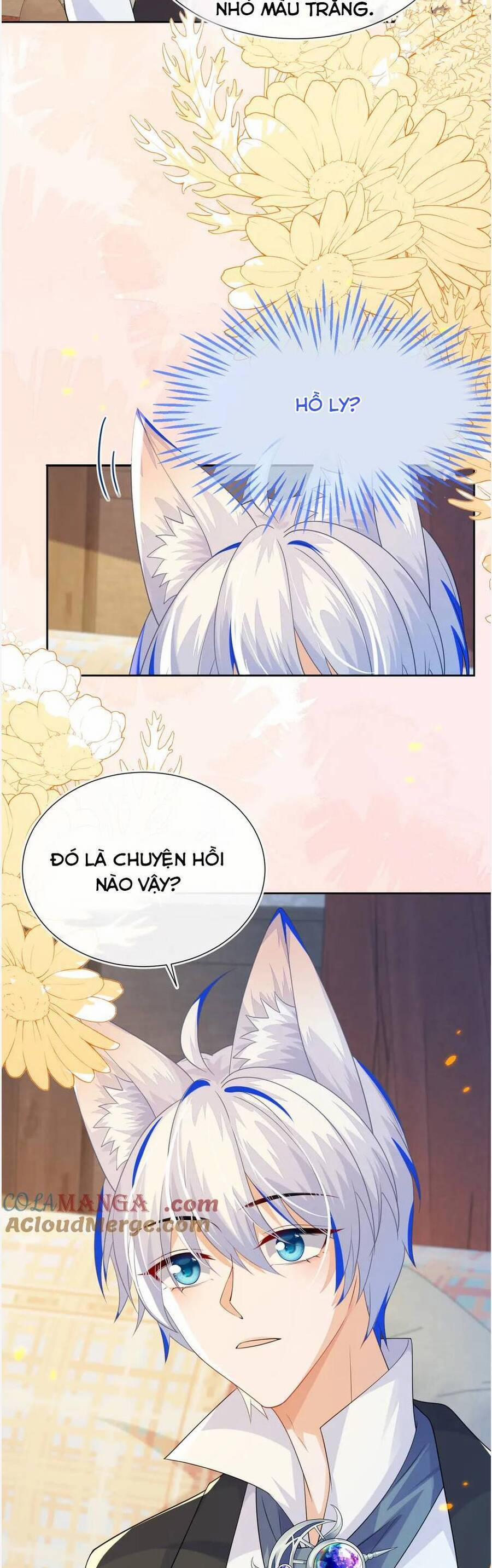 Vừa Mới Huỷ Hôn Đã Bị Dã Hồ Ly Lừa Kết Hôn 56 trang 24