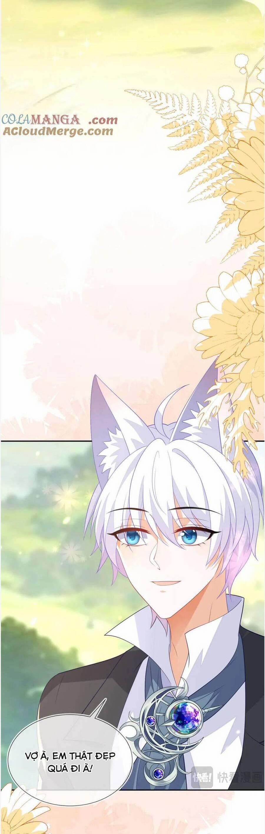 Vừa Mới Huỷ Hôn Đã Bị Dã Hồ Ly Lừa Kết Hôn 56 trang 6