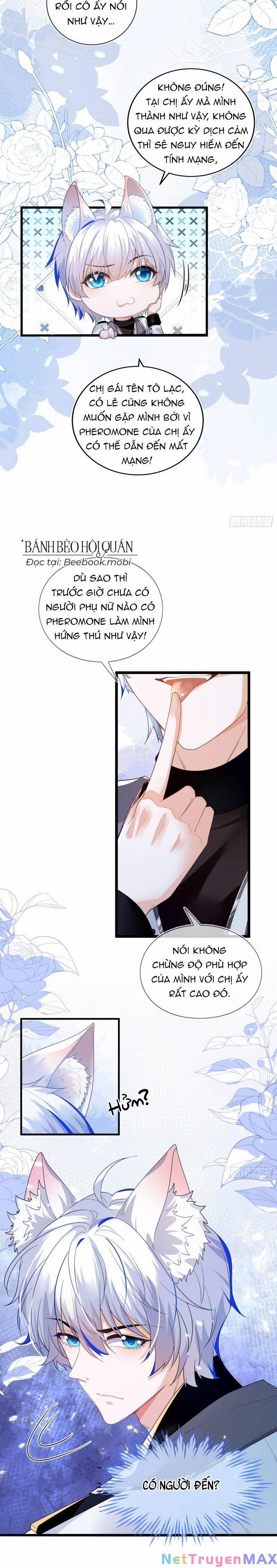 Vừa Từ Hôn Đã Bị Hồ Ly Lừa Vào Cục Dân Chính 1 trang 13