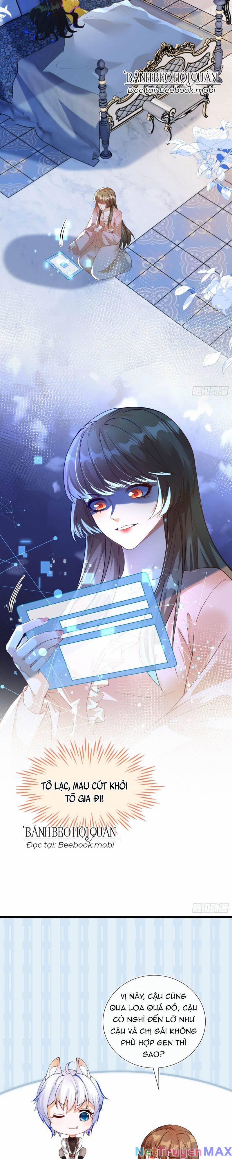 Vừa Từ Hôn Đã Bị Hồ Ly Lừa Vào Cục Dân Chính 1 trang 25