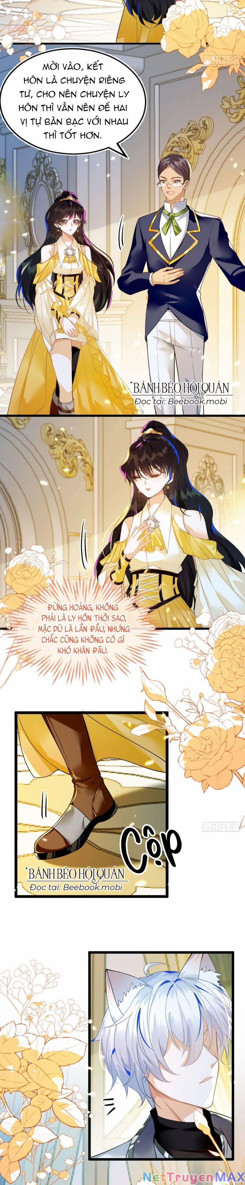 Vừa Từ Hôn Đã Bị Hồ Ly Lừa Vào Cục Dân Chính 2 trang 21