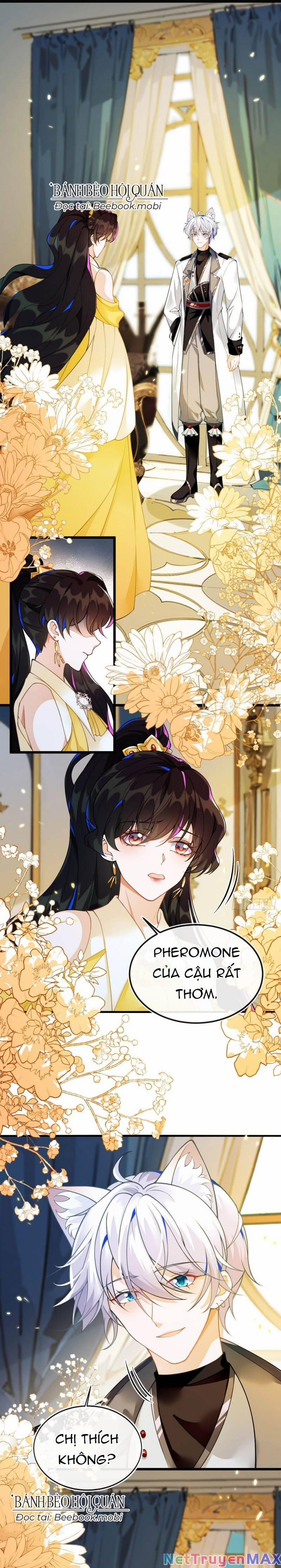 Vừa Từ Hôn Đã Bị Hồ Ly Lừa Vào Cục Dân Chính 3 trang 1