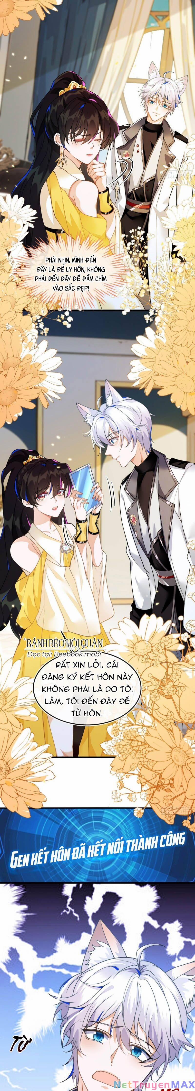 Vừa Từ Hôn Đã Bị Hồ Ly Lừa Vào Cục Dân Chính 3 trang 2