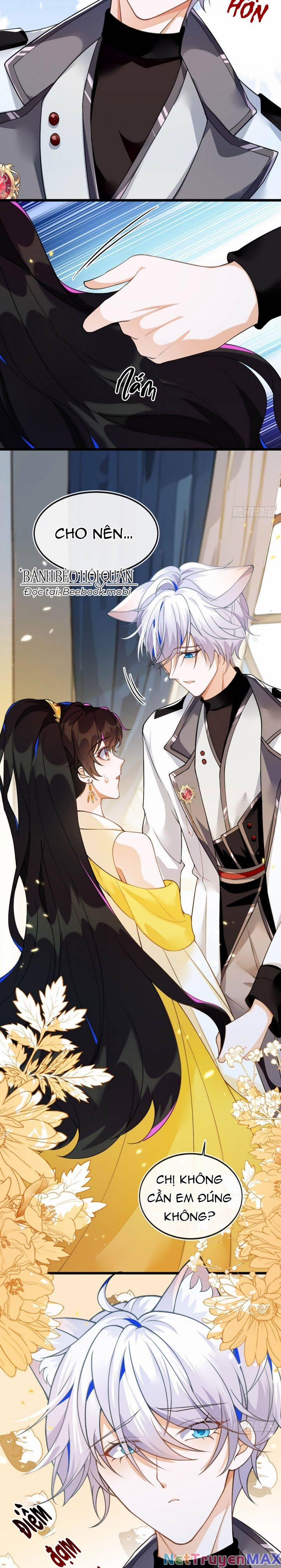 Vừa Từ Hôn Đã Bị Hồ Ly Lừa Vào Cục Dân Chính 3 trang 3