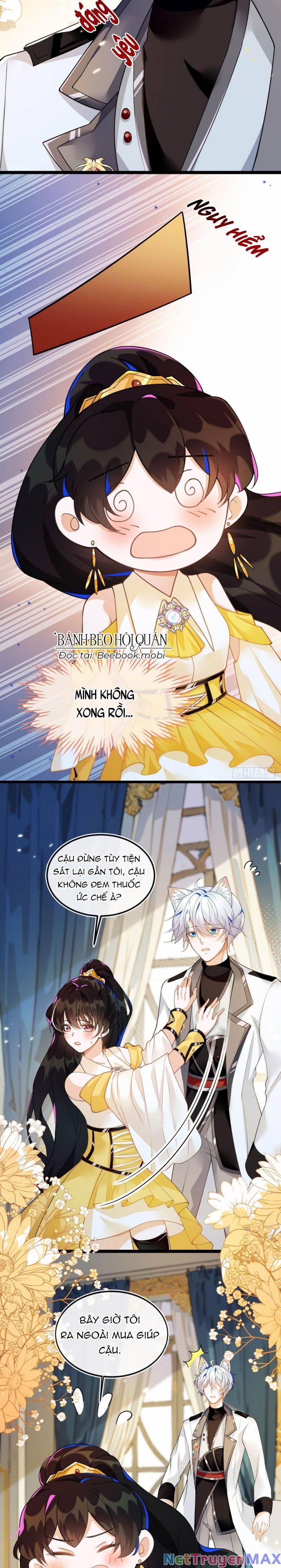 Vừa Từ Hôn Đã Bị Hồ Ly Lừa Vào Cục Dân Chính 3 trang 4