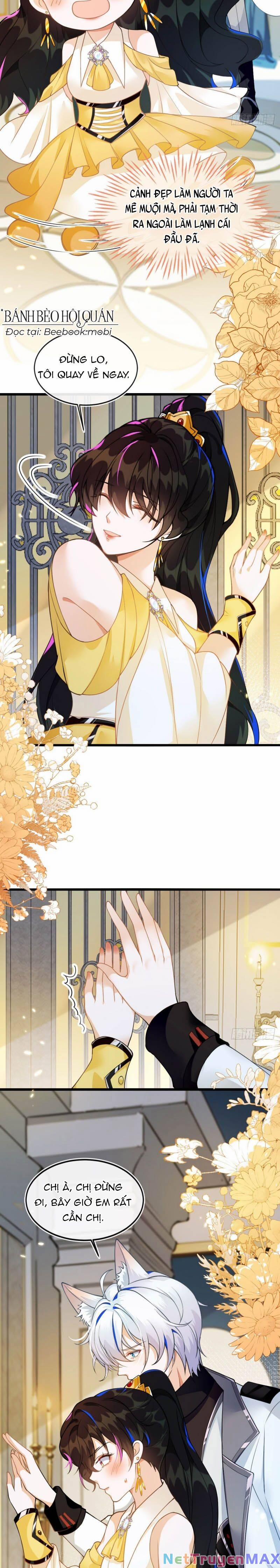 Vừa Từ Hôn Đã Bị Hồ Ly Lừa Vào Cục Dân Chính 3 trang 5