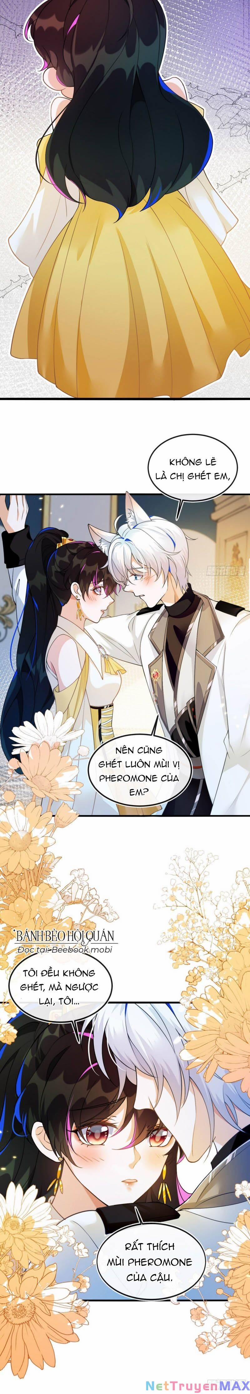 Vừa Từ Hôn Đã Bị Hồ Ly Lừa Vào Cục Dân Chính 3 trang 7