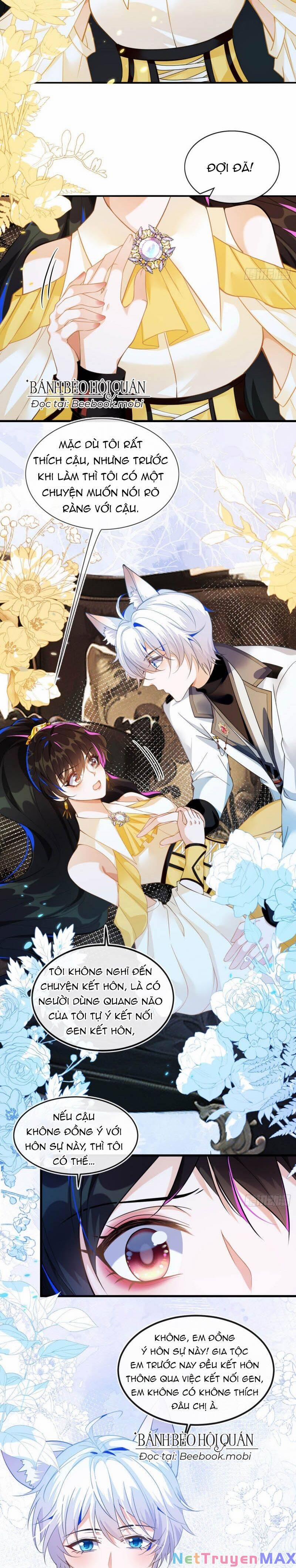 Vừa Từ Hôn Đã Bị Hồ Ly Lừa Vào Cục Dân Chính 3 trang 9