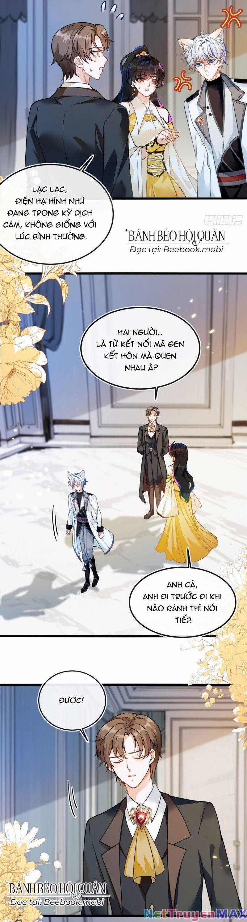 Vừa Từ Hôn Đã Bị Hồ Ly Lừa Vào Cục Dân Chính 5 trang 10