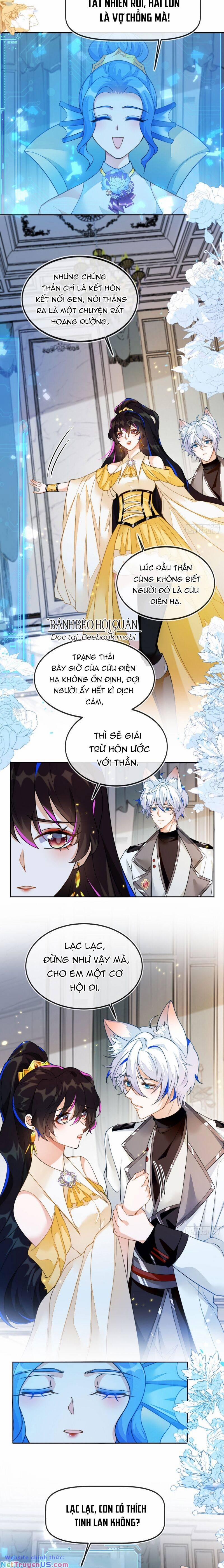 Vừa Từ Hôn Đã Bị Hồ Ly Lừa Vào Cục Dân Chính 7 trang 2