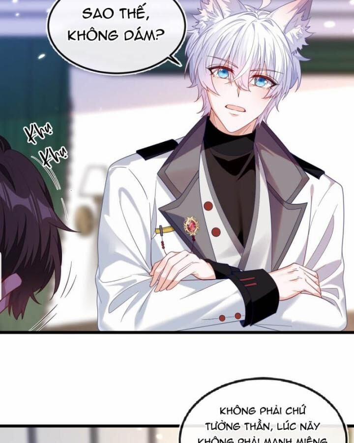 Vừa Từ Hôn Đã Bị Hồ Ly Lừa Vào Cục Dân Chính 8 trang 33