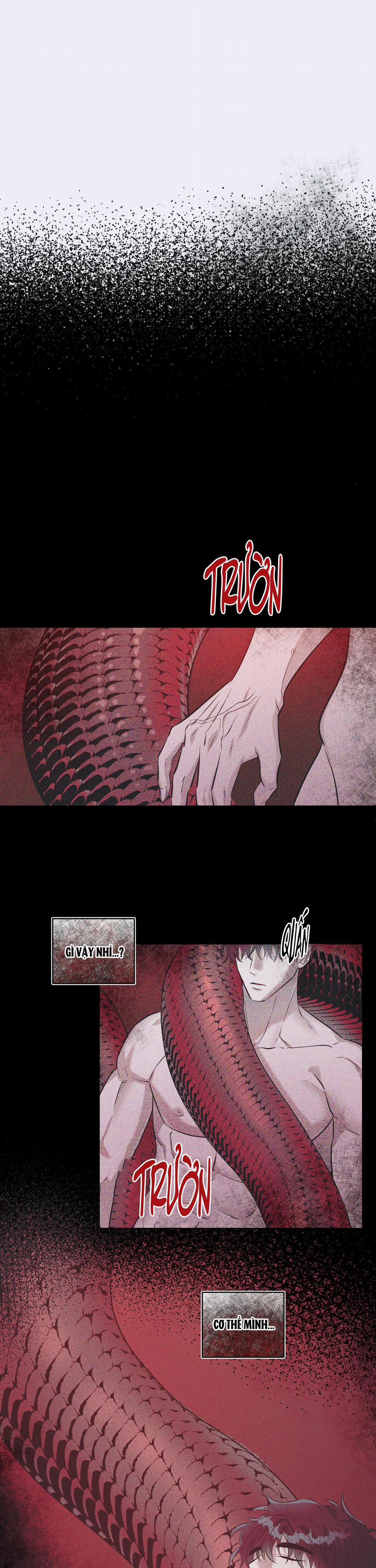 Vực Rắn 1 trang 0