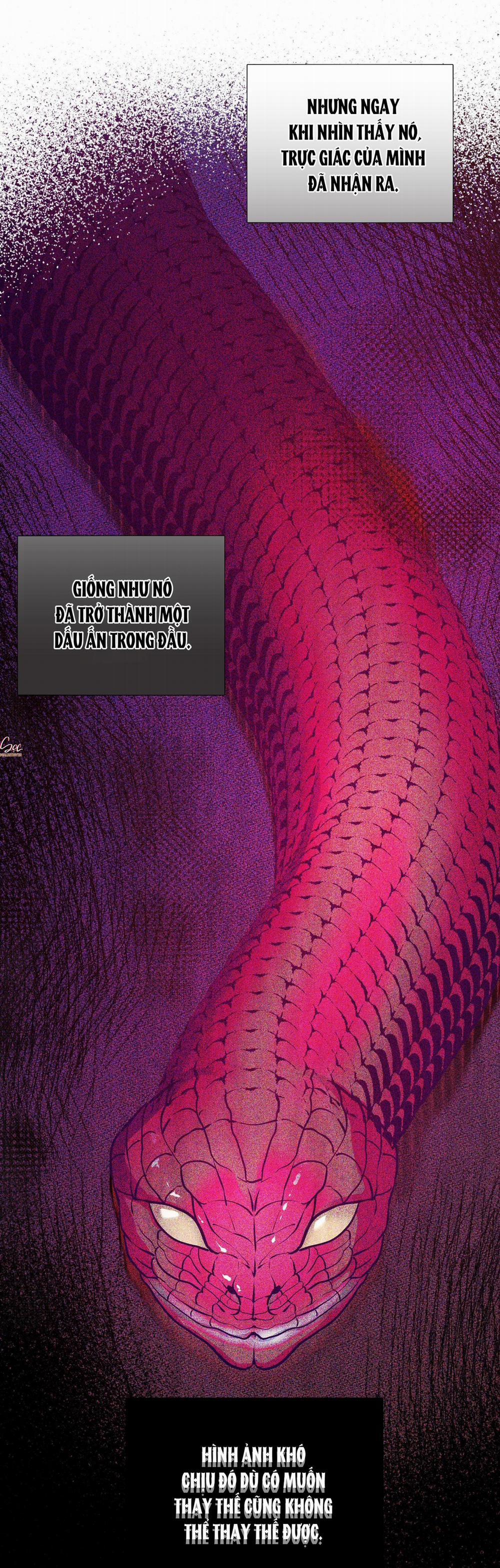 Vực Rắn 23 trang 21