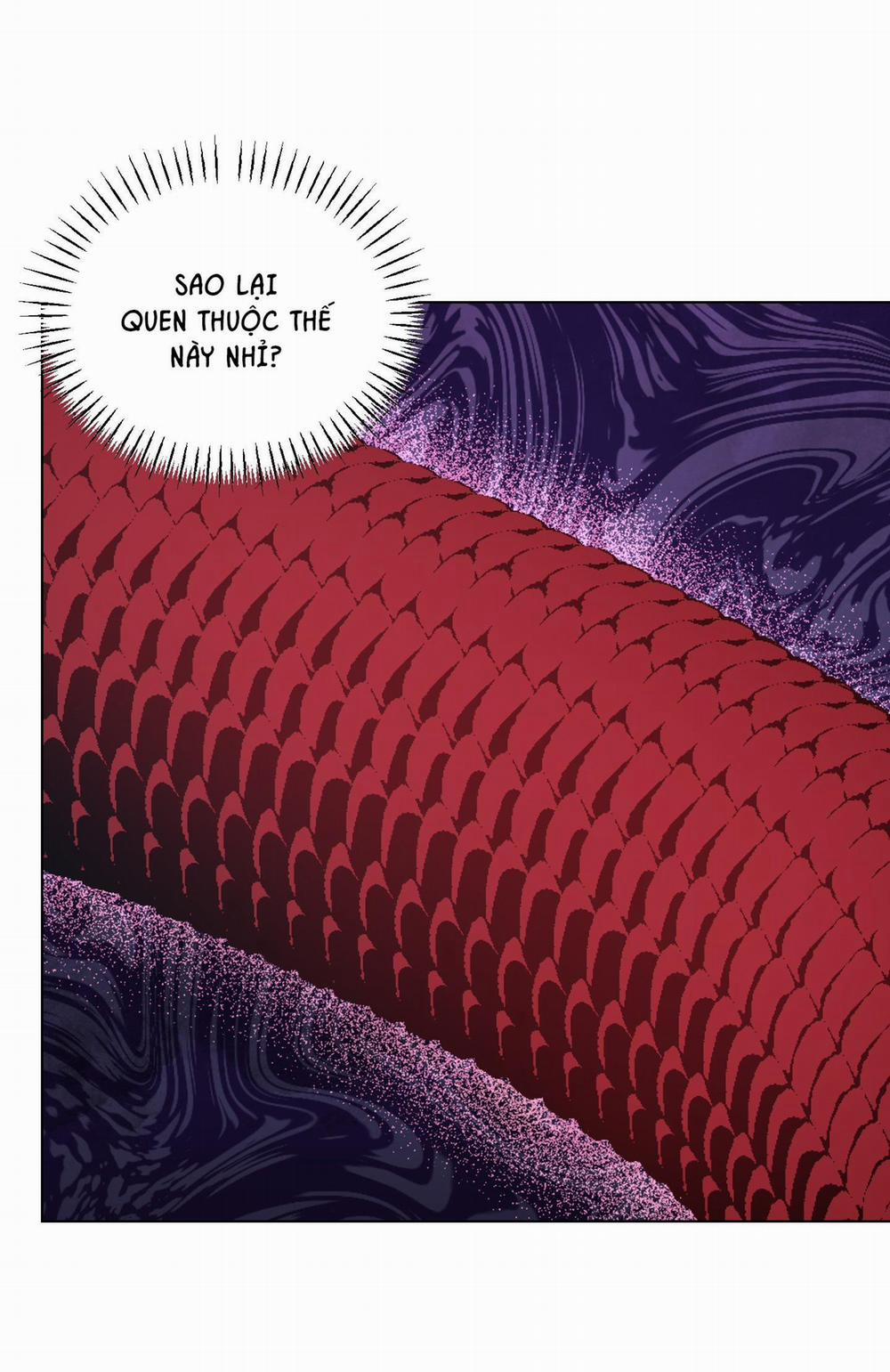 Vực Rắn 23 trang 5