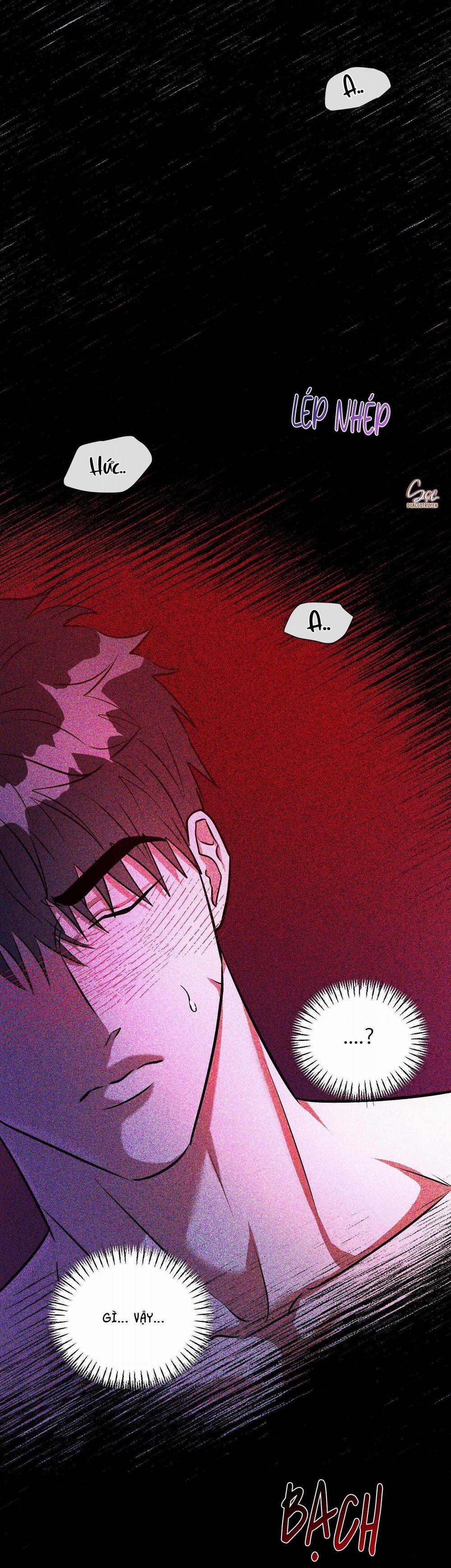 Vực Rắn 24 trang 1