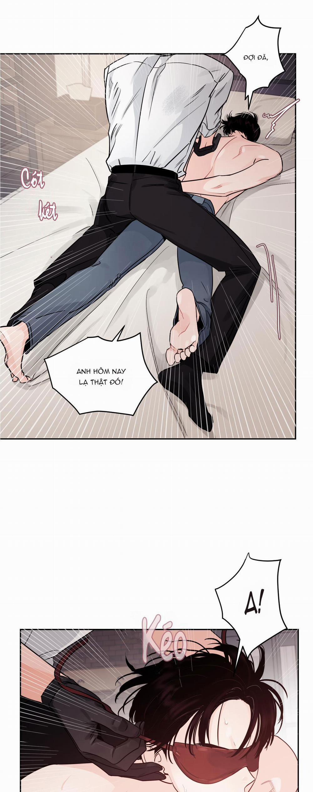 Vùng Bóng Tối 11 trang 1