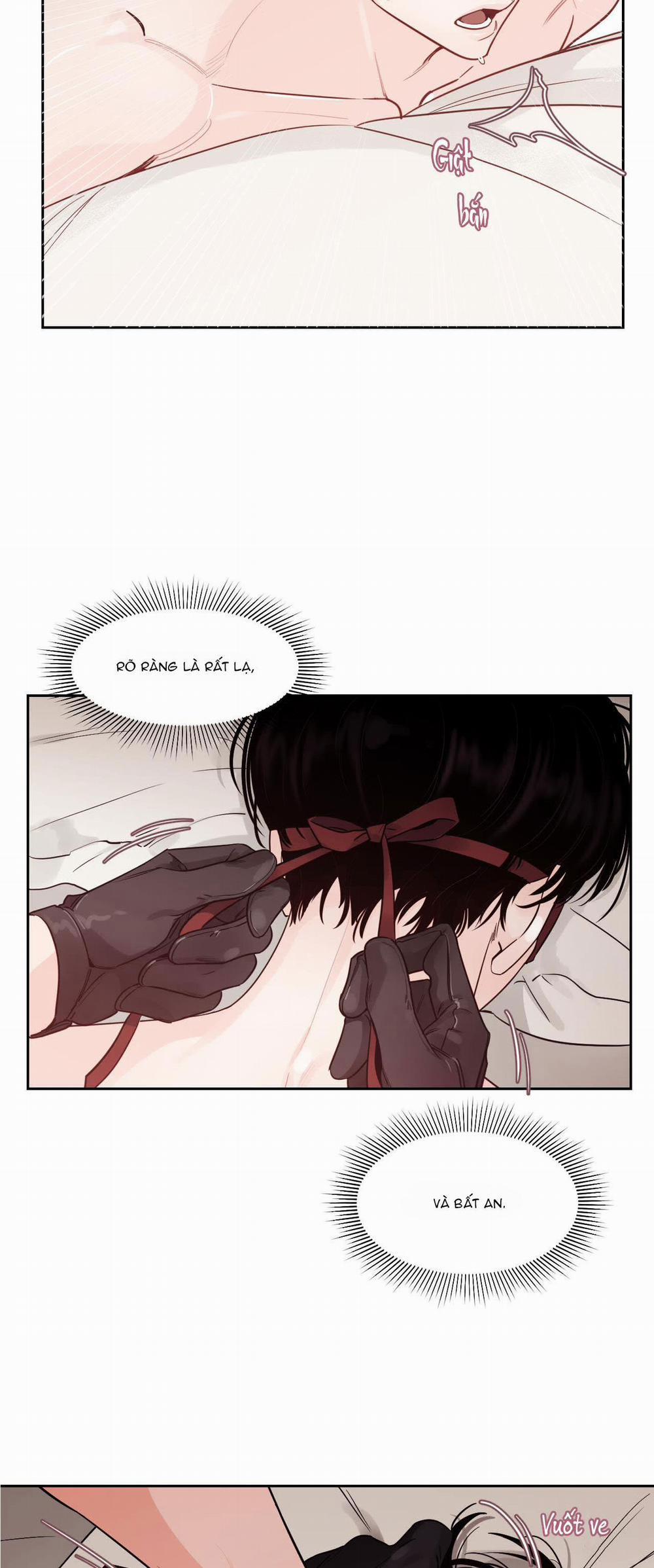 Vùng Bóng Tối 11 trang 2