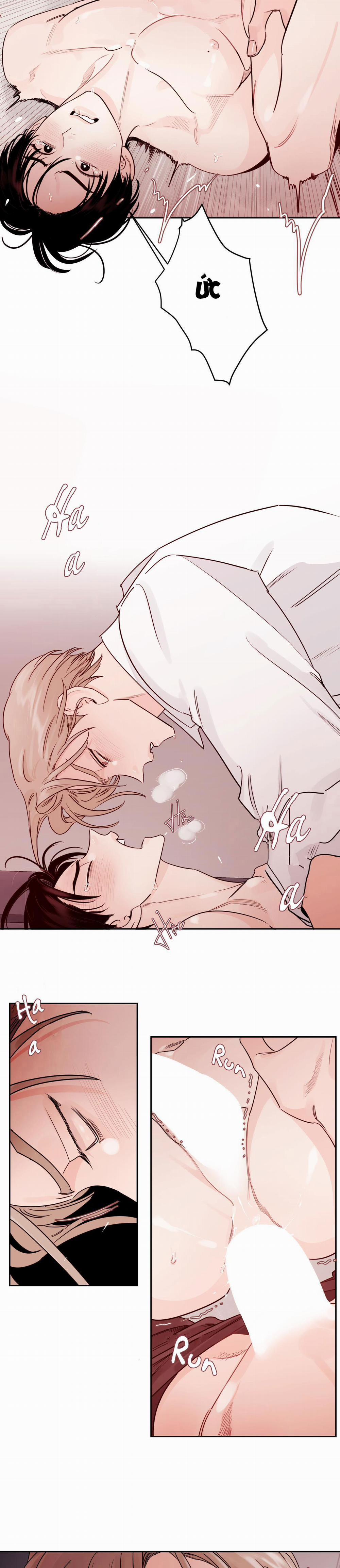 Vùng Bóng Tối 12 trang 14