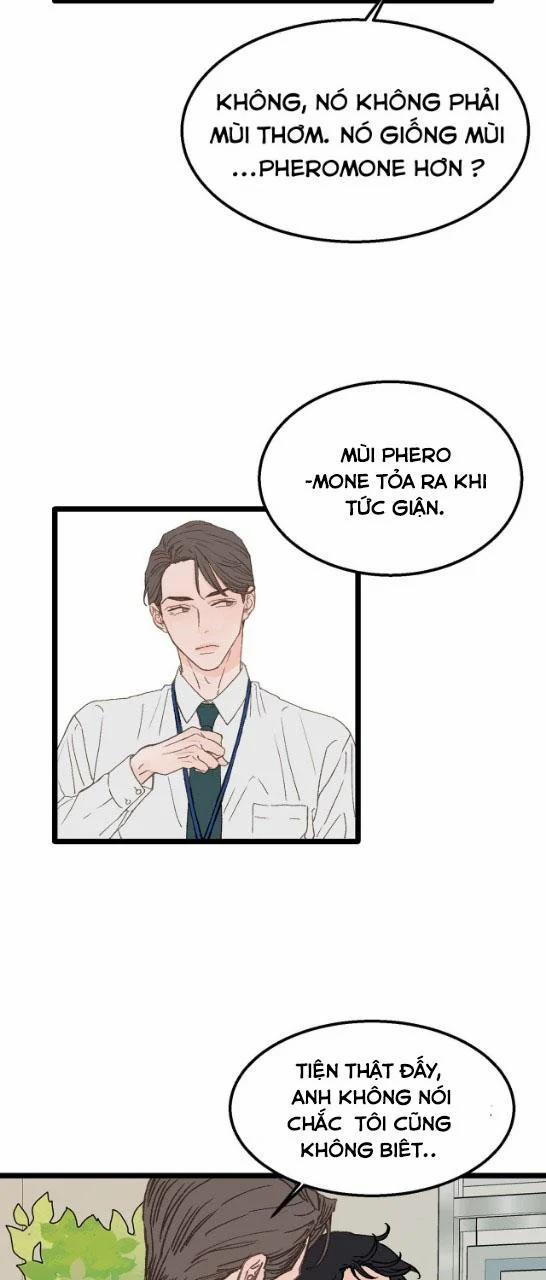 Vùng Cấm Tình Yêu 2 trang 45