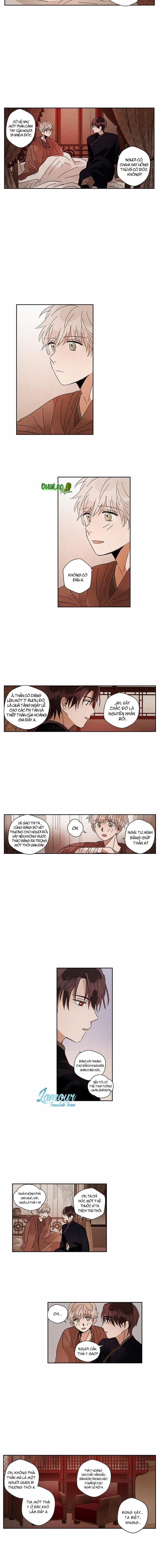 Vùng Đất Mưa Của Những Con Rồng 11 trang 5